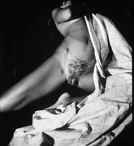 Vanessa L. Williams topless snapshot