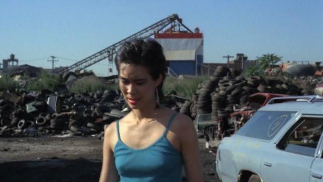 actress Jane Arakawa 2015 hooters image beach